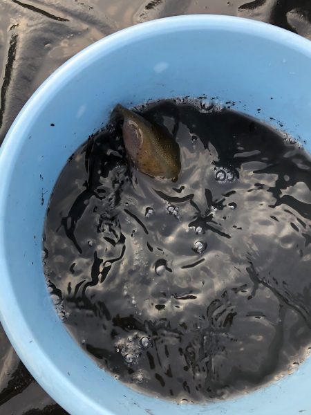 あみや渡船 JIGBOY 釣果