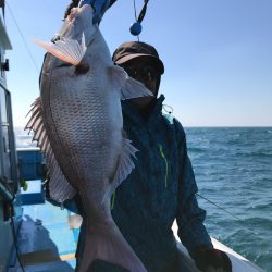 太平丸 釣果