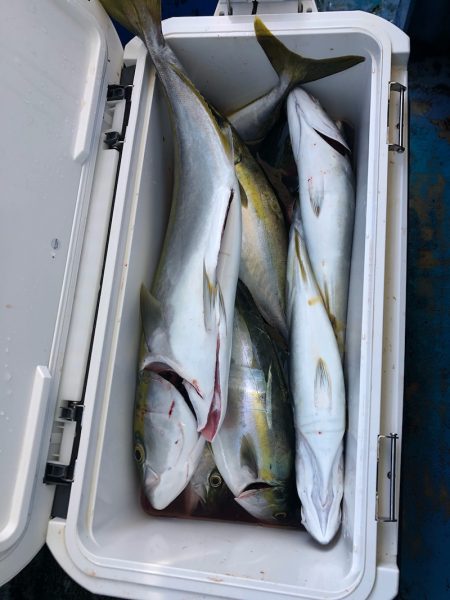 ヤザワ渡船 釣果