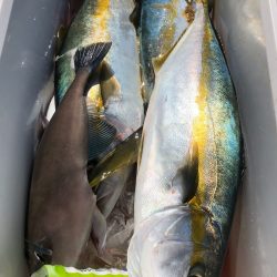 第二八坂丸 釣果