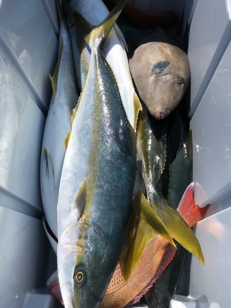 第二八坂丸 釣果