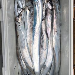 フィッシング キッタカ 釣果