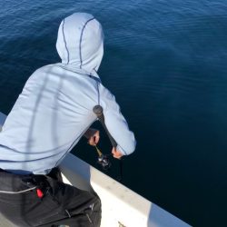 「LaGooN」蒼陽丸 日和号 釣果