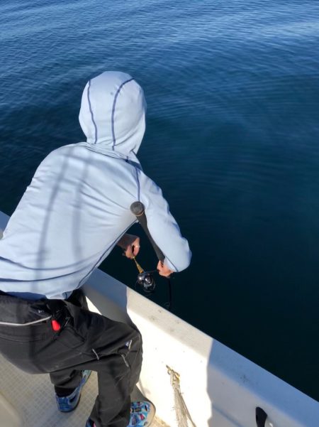 「LaGooN」蒼陽丸 日和号 釣果