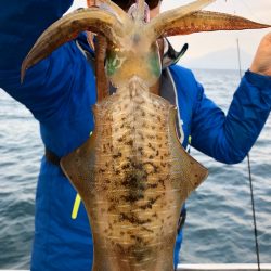 あみや渡船 JIGBOY 釣果