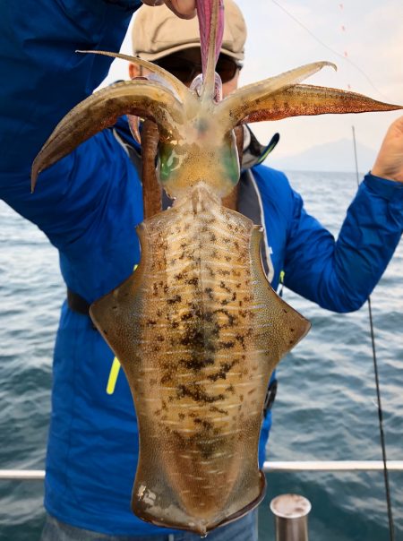 あみや渡船 JIGBOY 釣果