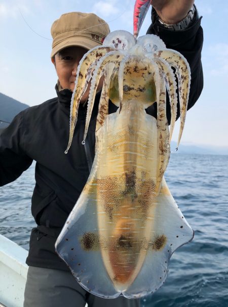 あみや渡船 JIGBOY 釣果