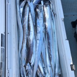 フィッシング　キッタカ 釣果