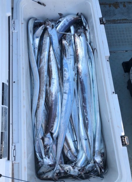 フィッシング　キッタカ 釣果