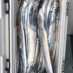 フィッシング キッタカ 釣果