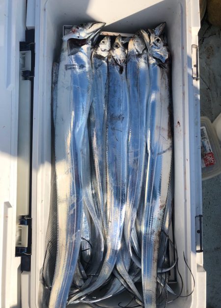 フィッシング キッタカ 釣果