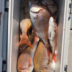 フィッシング キッタカ 釣果