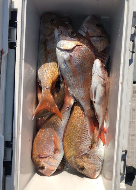 フィッシング キッタカ 釣果