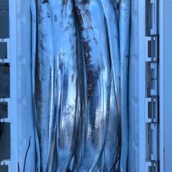 フィッシング キッタカ 釣果