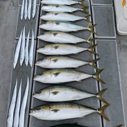 SeaRide(シーライド) 釣果