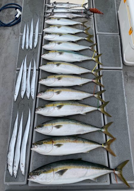 SeaRide(シーライド) 釣果