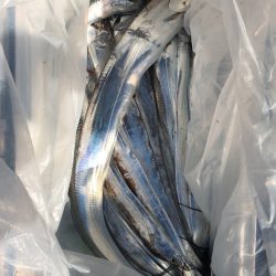 フィッシング キッタカ 釣果