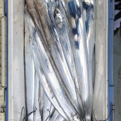 フィッシング キッタカ 釣果