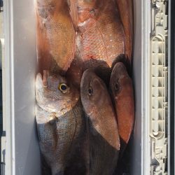 フィッシング キッタカ 釣果