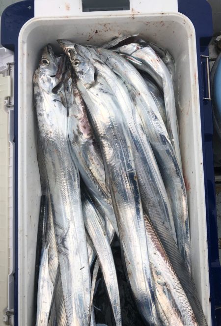 フィッシング キッタカ 釣果