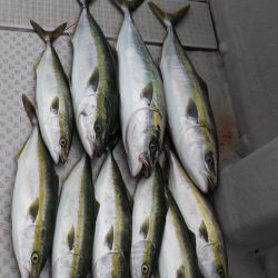 浜栄丸 釣果