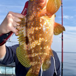 渡船屋たにぐち 釣果