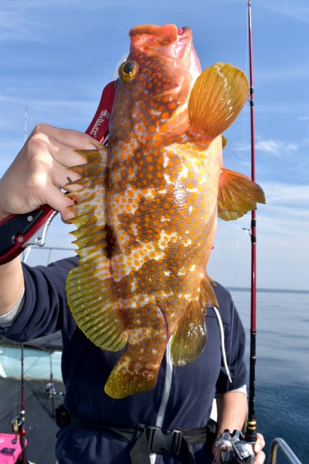 渡船屋たにぐち 釣果