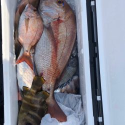 フィッシング キッタカ 釣果