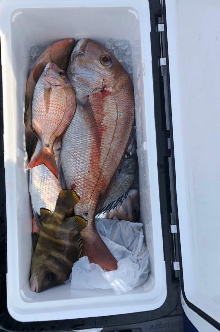 フィッシング キッタカ 釣果