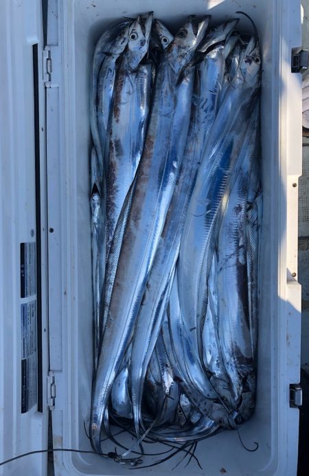 フィッシング　キッタカ 釣果