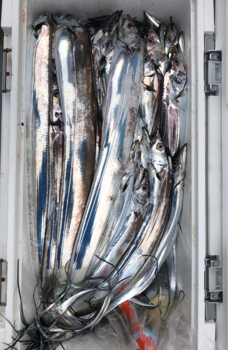 フィッシング キッタカ 釣果