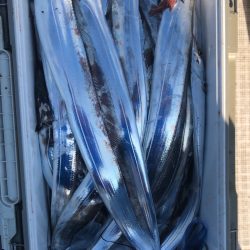 フィッシング　キッタカ 釣果