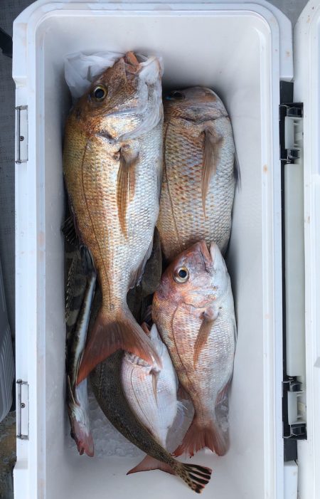 フィッシング　キッタカ 釣果