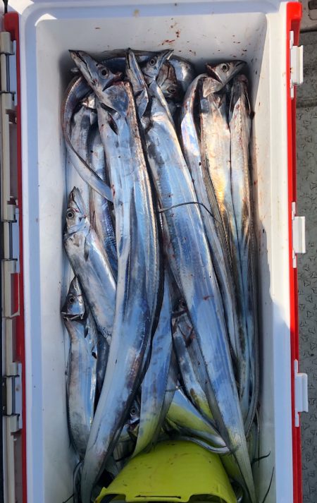 フィッシング　キッタカ 釣果