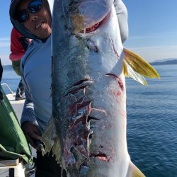 「LaGooN」蒼陽丸 日和号 釣果