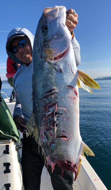 「LaGooN」蒼陽丸 日和号 釣果
