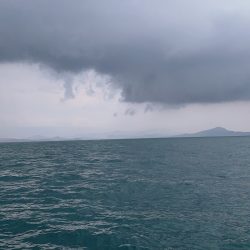 ランスルー 釣果