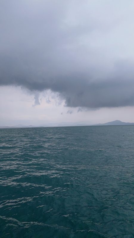 ランスルー 釣果