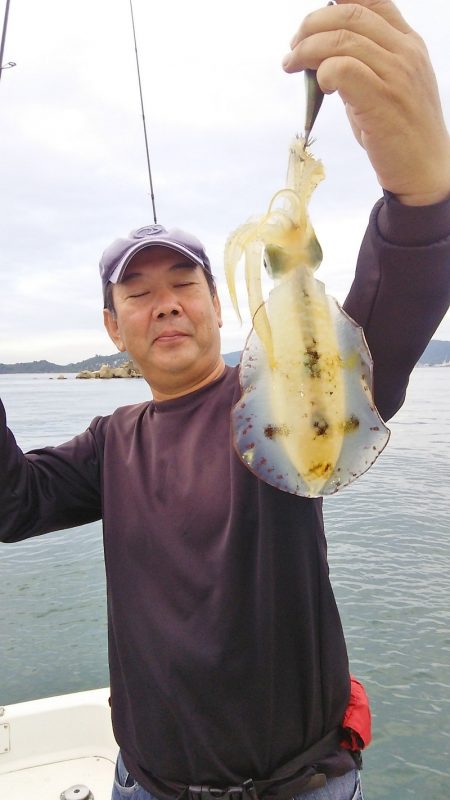 マリンガイド福丸 釣果