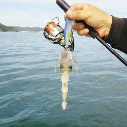 マリンガイド福丸 釣果