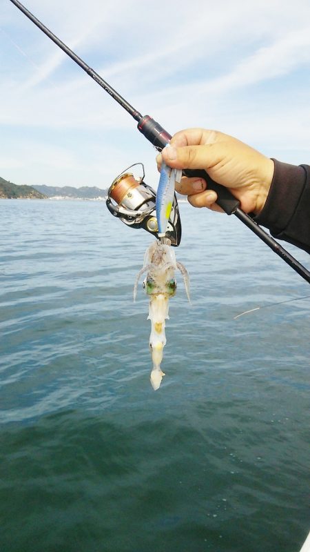 マリンガイド福丸 釣果