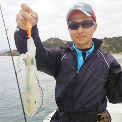 マリンガイド福丸 釣果