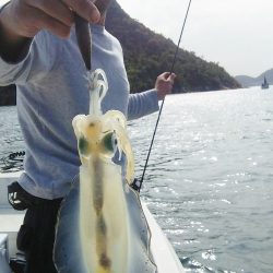 マリンガイド福丸 釣果