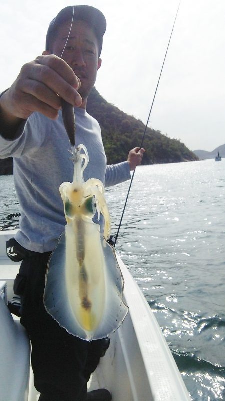 マリンガイド福丸 釣果