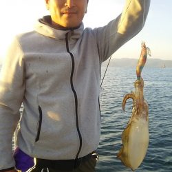 マリンガイド福丸 釣果