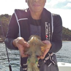 マリンガイド福丸 釣果