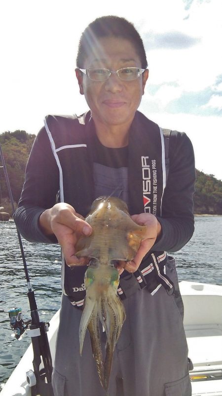 マリンガイド福丸 釣果