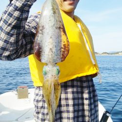 マリンガイド福丸 釣果