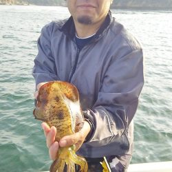 マリンガイド福丸 釣果