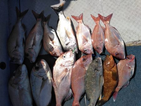 海季丸(みきまる) 釣果